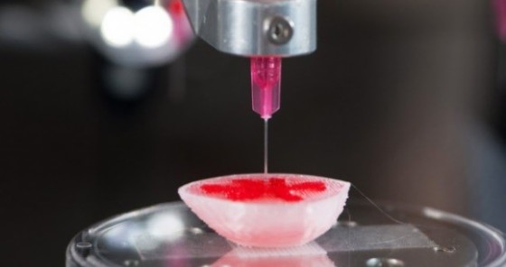 Cartilagine stampata in 3D con ‘fili’ di inchiostro vivente