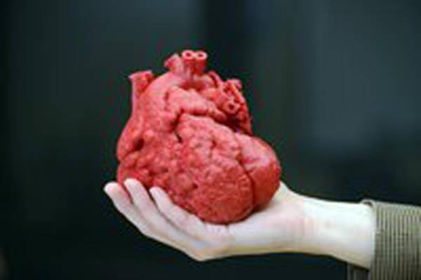 Dalla Svizzera il cuore artificiale stampato in 3D e perfettamente funzionante