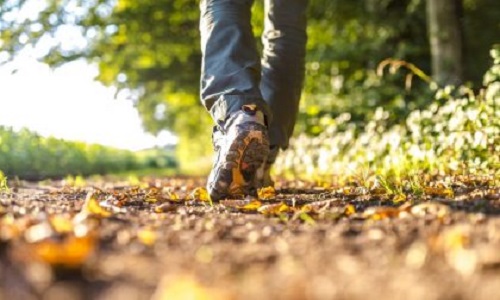 Stress da Covid? “La miglior medicina è una passeggiata nella natura”