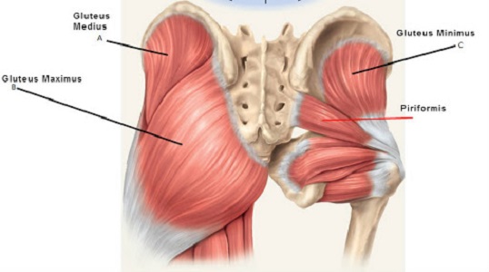 Sindrome dello spazio gluteo profondo: quadro clinico, diagnosi e trattamento