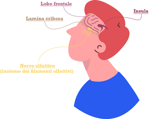 Coronavirus, recuperare l’olfatto con uno speciale “allenamento”